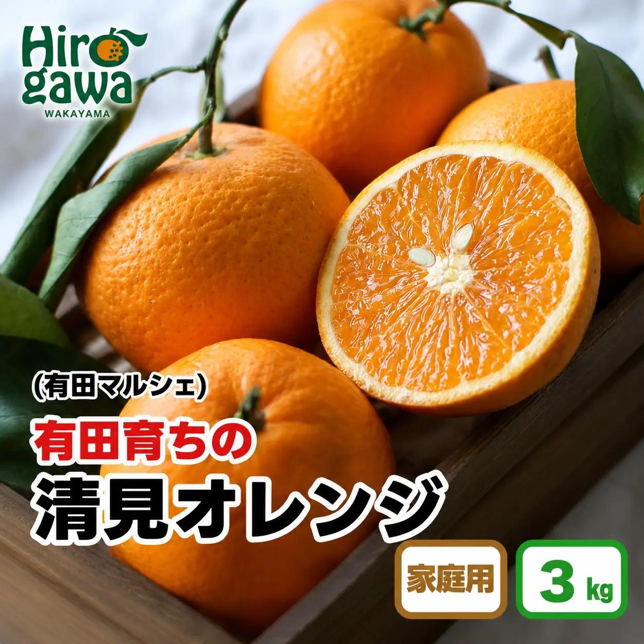 【産地直送】 有田 育ちの ご家庭用 完熟 清見 オレンジ 3kg+200g(補償分) / みかん 甘い オレンジ フルーツ 果物 有田 和歌山 ※2027年2月下旬～5月上旬に順次発送 ※北海道・沖縄・離島への配送不可 【ard011-c-3B】