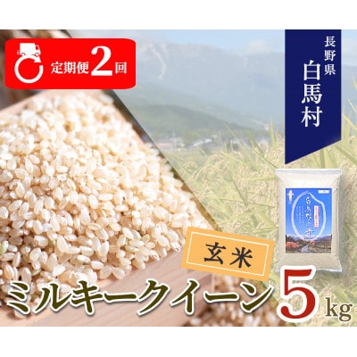 【発送月固定定期便】【令和6年産・新米先行予約】白馬産ミルキークイーン【玄米】5kg全2回【4055762】