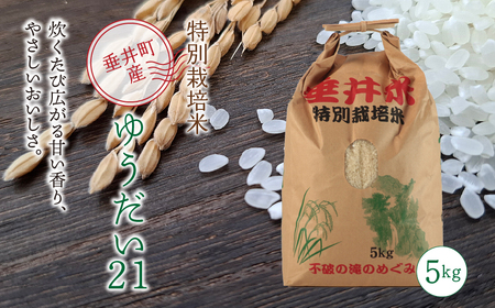 ≪令和7年産≫【特別栽培米】垂井町産 ゆうだい２１（精米） 5kg｜お米 白米 ご飯 ライス 産地直送 ギフト 贈答用 プレゼント 岐阜県産