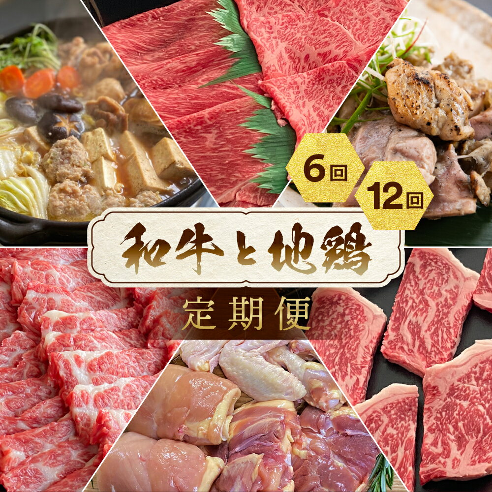 【ふるさと納税】和牛と地鶏 定期便 6回/12回＜京都亀岡丹波山本×ひら山＞京の肉＆地鶏丹波黒どり・丹波赤どり 冷凍 お楽しみセット≪訳あり 不揃い ふるさと納税 定期便 肉 12ヶ月 6ヶ月 1年間 半年 6回または12回定期便≫