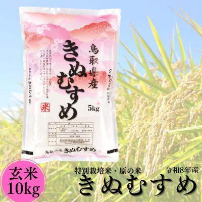 ふるさと納税 湯梨浜町 特別栽培米『原の米・きぬむすめ』◇玄米10kg◇令和8年産(50M.)