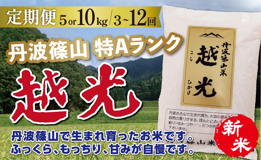 
                  〈定期便 選べる容量と回数 特A コシヒカリ〉新米 令和８年産 丹波篠山産 特A コシヒカリ 越光  【5kg 10kg 3回 6回 12回】 | 丹波篠山 お米 おこめ ブランド米 ごはん ご飯 白米 米 コメ こめ 精米 精白米 おいしい米 美味しいお米 兵庫県 お取り寄せ こしひかり コシヒカリ
                
