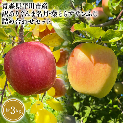 2026年12月上旬～発送　 訳あり ぐんま名月・葉とらずサンふじ詰め合わせセット約3kg(家庭用)【なるみ農園・青森りんご・平川市産・詰め合わせ・数量限定】