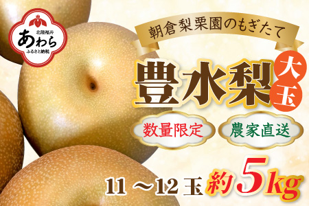 【9/15まで受付！】《数量限定》豊水梨【大玉】11～12玉入 約5kg もぎたて 新鮮 ／ 期間限定 果物 フルーツ 農家直送 お取り寄せ 豊水 梨 なし 福井県 あわら市