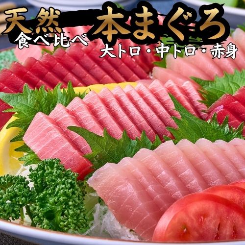 【ふるさと納税】本鮪大トロ180g、中トロ200g、赤身200g 食べ比べ 鮪 冷凍 本鮪 トロ とろ 海鮮丼 漬け丼 刺身 魚 鮮魚 海鮮 さしみ マグロ まぐろ/ 高知県 奈半利町