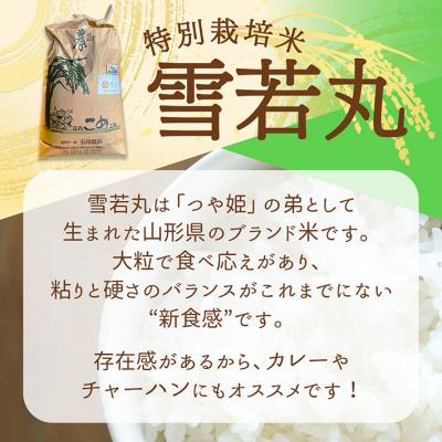 ふるさと納税 庄内町 【新米受付】石垣農園の特別栽培米 雪若丸 10kg【10月より順次発送】 |  | 01