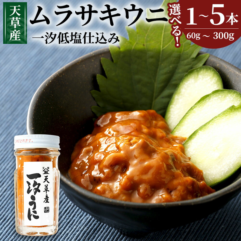 【ふるさと納税】天草産ムラサキウニ (一汐低塩仕込み) 【選べる内容量】 1～5本 60g / 合計120g / 合計180g / 合計300g 塩 甘塩うに うに むらさきうに ウニ うに 熊本県産 九州 冷凍 送料無料