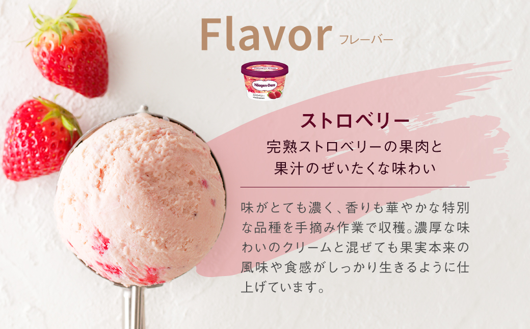ハーゲンダッツ『ミニカップ24個セット(ストロベリー味)』アイスクリーム アイス スイーツ デザート_H0016-130