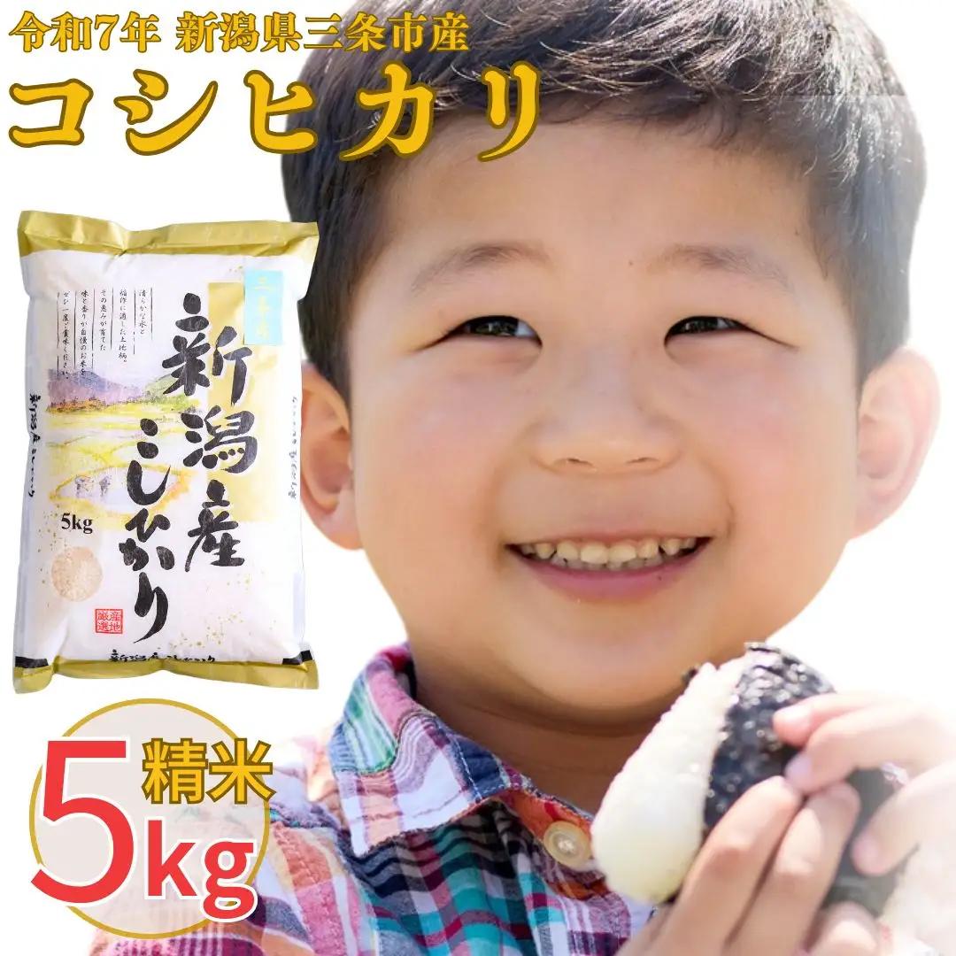 新潟県三条市産 コシヒカリ 5kg 精米 （令和7年） コシヒカリ 白熊