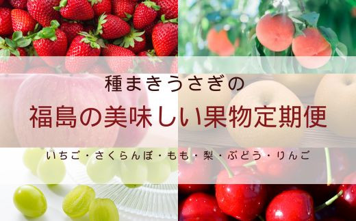 No.2998 福島の美味しい果物定期便【2025年発送】