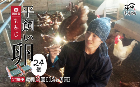 平飼いたまご 24個×月2回×12ヶ月 【 卵定期便 平飼い卵  平飼いたまご 平飼い卵  平飼いたまご 平飼い卵  平飼いたまご  】