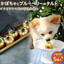 【ふるさと納税】ペットフード(犬のおやつ)　かぼちゃとブルーベリーのタルト　5個入り | ペット 犬 ドッグフード ドッグ いぬ 小型犬 愛犬 愛犬家 ケーキ タルト おやつ 手作り 栄養 犬用 福岡県 筑前町 ふるさと納税 送料無料