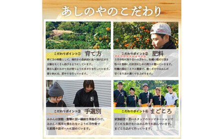 【2027年先行予約】和歌山県産 有田の八朔 (はっさく) 約10kg【L～2Lサイズ混合】まごころ手選別 _ZE6153n