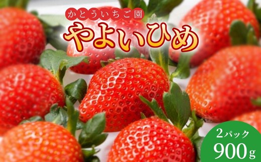 かとういちご園のやよいひめデラックスパック　2パック入り※沖縄・離島への配送不可 ※2026年1月下旬～3月下旬頃に順次発送予定