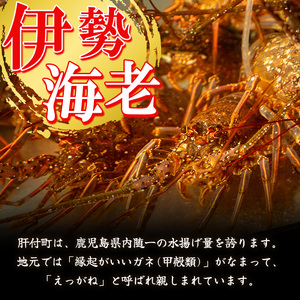 【C47001】≪数量限定≫冷凍イセエビぶつ切り(約1.4kg・加熱用) 鹿児島 国産 魚介 伊勢エビ 伊勢海老 伊勢えび いせえび イセエビ 刺身 お味噌汁 ギフト 贈答 水揚げ 冷凍し 小分け 真