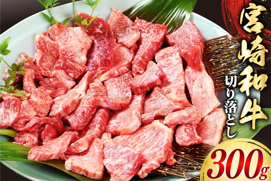 牛肉 宮崎和牛 切り落とし 焼肉 300g [道の駅「日向」物産館 宮崎県 日向市 452061758] 切落し 黒毛和牛 宮崎県産 厚め カット 焼き肉 国産 ふるさと納税 冷凍 肉 牛 きりおとし