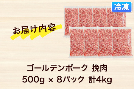肉 豚 【冷凍】ゴールデンポーク 挽肉 4kg セット