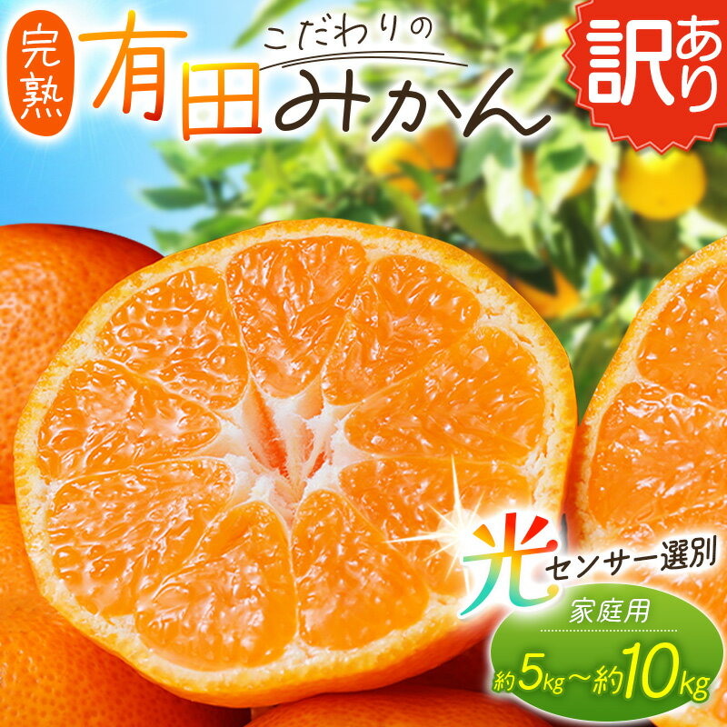 【ふるさと納税】【訳あり】農家直送 有田みかん 約5kg 約7.5kg 約10kg ※2025年11月中旬より順次発送予定(お届け日指定不可) ご家庭用 自宅用 訳ありみかん 農家直送 サイズ混合 有機質肥料100%