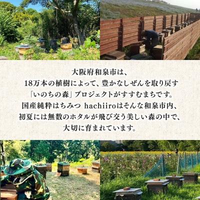 ふるさと納税 和泉市 【1種】 いずみつ(百花蜜)200g　 倒立型 蜜切れ抜群ボトル |  | 03