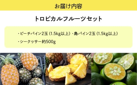 2026年 先行予約 トロピカルフルーツ セット パイン シークワーサー ☆西表島ふる～つらんど☆ 果物 フルーツ トロピカルセット