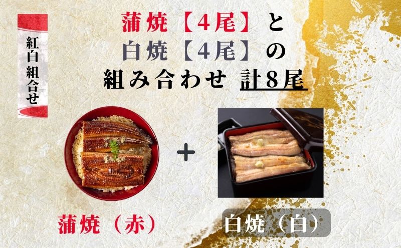 【創業1871年】浜名湖うなぎ 紅白焼8尾(1kg前後)ミネラル成分豊富な水で育てた鰻 ウナギ うなぎ 惣菜 おかず 蒲焼き おすすめ 浜名湖 静岡県 森町