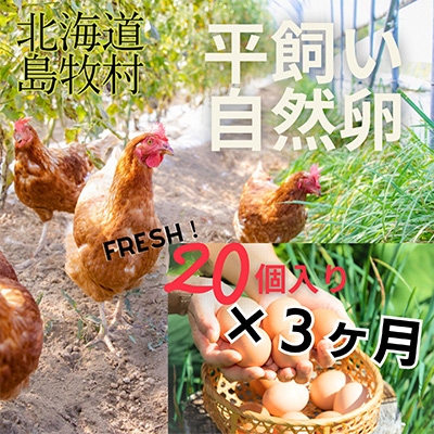 【毎月定期便】自然卵【ハッピーコッコちゃんたまご】20個入り(全3回)【配送不可地域：離島】