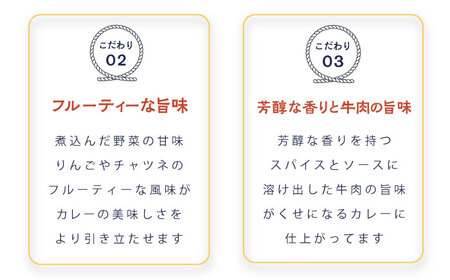 さいか屋謹製よこすか海軍カレー 2食入り2箱セット【さいか屋横須賀店】 [AKCH002]