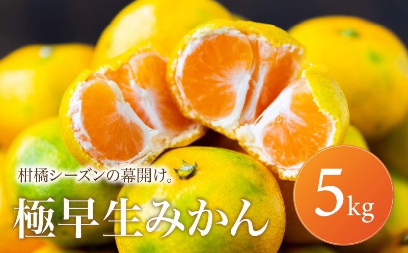 
                  【待望の新登場】 秋の先取り 【極早生みかん】 5kg 愛媛県産 【2026年10月上旬頃から順次発送】 | 温州みかん ミカン ごくわせ mikan みかん 蜜柑 訳ありフルーツ 柑橘 果物 おすすめ お勧め お取り寄せ ギフト 愛媛県 松山市
                
