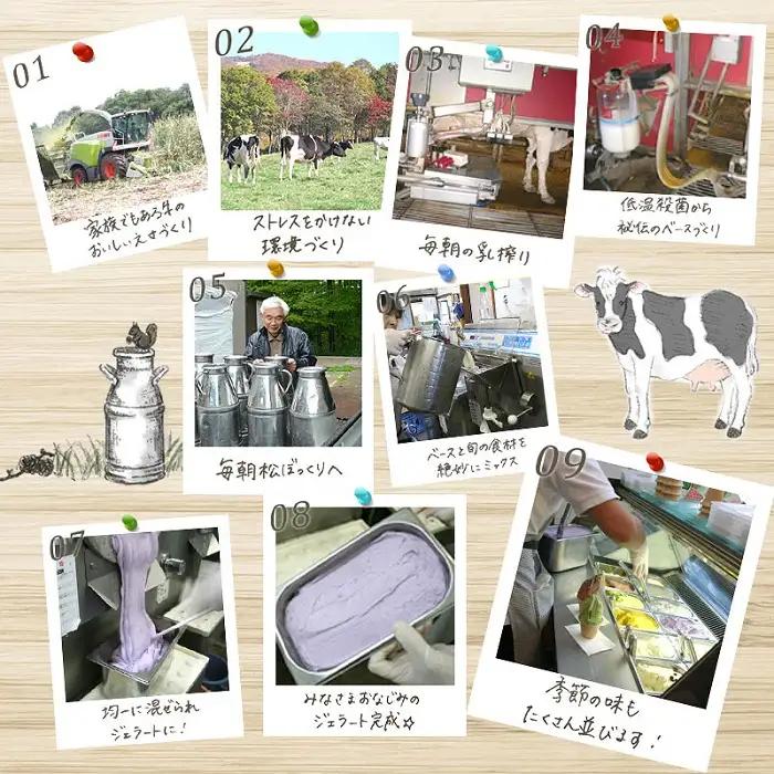 搾りたて牛乳で作る 松ぼっくり ジェラート 食べ比べ 80ml 6種 セット ／ 定番 人気 スイーツ デザート アイス アイスクリーム ミルク 牛乳 抹茶 チョコレート チョコ ブルーベリー ベリー