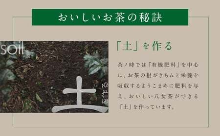 八女茶 ティーバッグ 5種類×各1袋 セット 煎茶 玉露 ほうじ茶 玄米茶 お茶 緑茶 ティーバッグ 日本茶AWARDプラチナ賞受賞 八女茶
