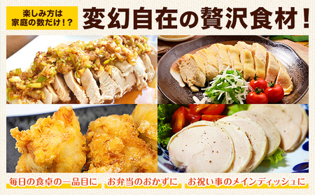 大容量 鶏肉 若鶏むね肉 4kg 《30日以内に出荷予定(土日祝除く)》