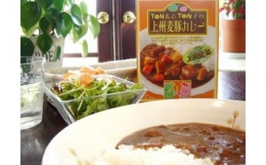 
B-31　上州麦豚カレー10個入り
