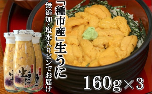 「種市産」天然生うに 160ｇ×3本 ミョウバン不使用 無添加 本州一 増殖溝 北三陸 塩水 牛乳瓶入り 雲丹 鮮度抜群