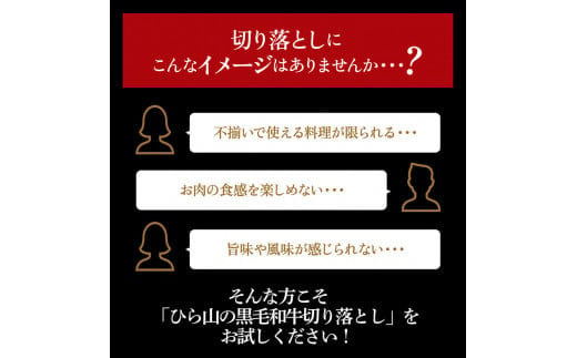 京都府産黒毛和牛（亀岡牛・京の肉・京都肉・丹波産）切り落とし500g