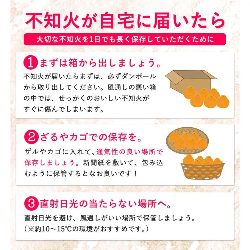 ご家庭用 不知火 約800g 