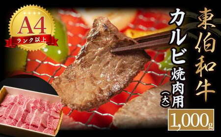 東伯和牛カルビ　焼肉用（大）お肉 肉 牛肉 和牛 鳥取和牛 牛肉 肉 国産 お肉 冷凍カルビ 牛肉 和牛 焼き肉 焼き肉用 カルビ 肉