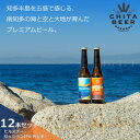 【ふるさと納税】知多マリンビール 12本セット (ピルスナー・セッションIPA 各6本) クラフトビール【配送不可地域：離島】【1431288】