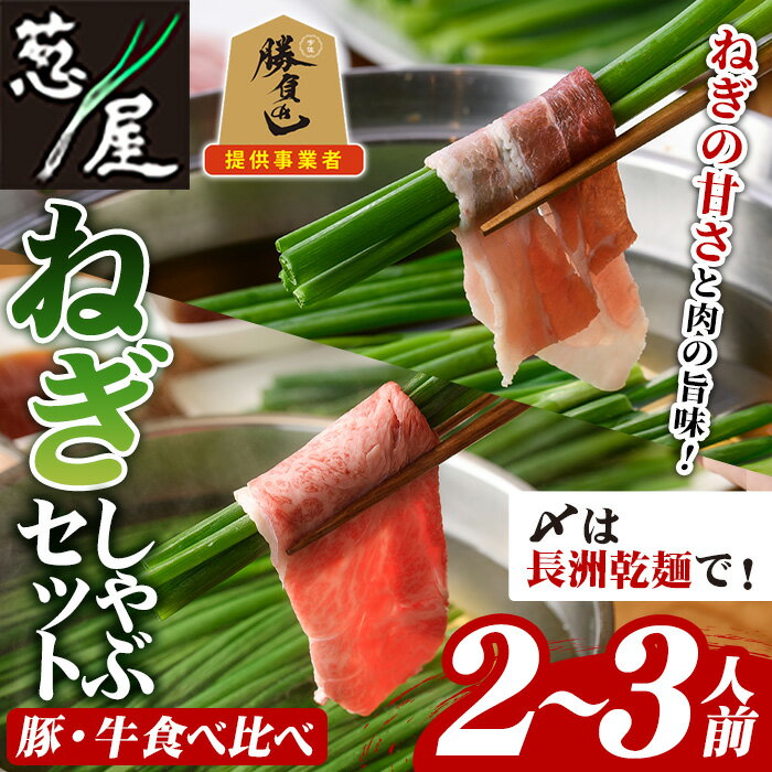 【ふるさと納税】鉄板バル葱屋の ねぎしゃぶセット 豚・牛 食べ比べ (2〜3人前) ねぎしゃぶ しゃぶしゃぶ 豚肉 ぶた肉 ぶたにく 牛肉 お肉 鍋セット 乾麺 出汁 だし ポン酢 勝負めし 【110700600】【葱屋おおくぼ】