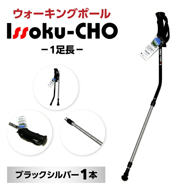 【ふるさと納税】ウォーキングポール Issoku-CHO（1足長） ブラックシルバー 1本 杖 歩行補助 特許取得 グッドデザイン賞 アウトドアスポーツ 山登り トレッキング ハイキング 登山 ウォーキング R17007
