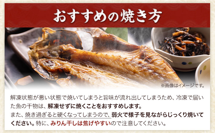 新鮮魚の鯛入り梅塩干物と湯浅醤油みりん干し7品種11尾入りの詰め合わせ（和歌山近海産の新鮮魚使用）《90日以内に出荷予定(土日祝除く)》---wsh_fgenhset7_90d_22_16000---