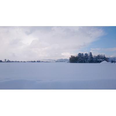 ふるさと納税 上越市 5kg×1袋「Riki-saku コシヒカリ」アフコ・秋山農場のPB米 |  | 03