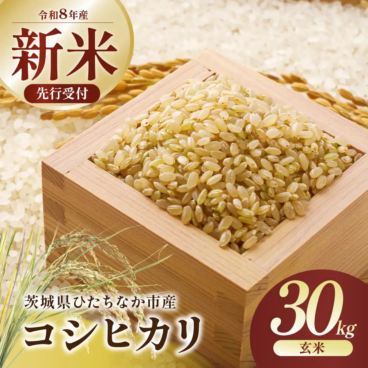令和8年度 新米 コシヒカリ 玄米 30kg  | 新米 お米 こしひかり コシヒカリ