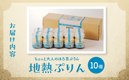 【毎月50限定】ちょっと大人のほろ苦ぷりん☆別府名物地獄蒸し！（10個入り） プリン ぷりん スイーツ 別府 地獄蒸し 地熱プリン 大分県 別府市 クリーミー ほろ苦い キャラメル おやつ デザート 