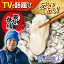 【ふるさと納税】うまさがちがう！ 広島産 大粒 かき 鍛え牡蠣 むき身 Lサイズ（冷凍）計2kg 人気 海鮮 BBQ 簡単 レシピ ギフト 江田島市/有限会社寺本水産 [XAE025]