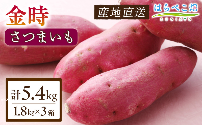 【ホックホク食感の優しい甘み】さつまいも金時 1.8kg 3箱・H116