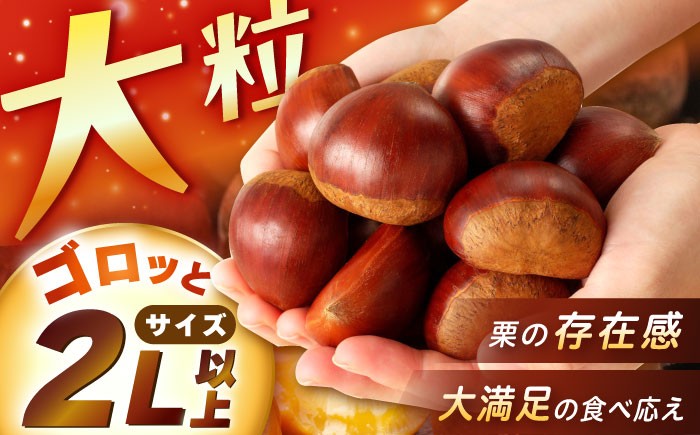 栗 東美濃ぽろたん ぽろたん くりきんとん 和菓子 スイーツ お取り寄せ 国産 贈答 ギフト おすすめ 人気 岐阜県 恵那市