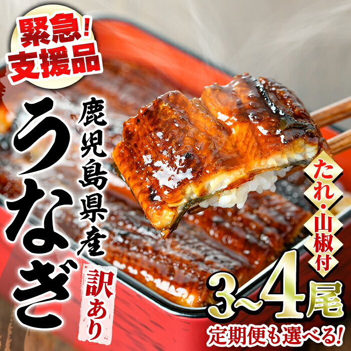 【ふるさと納税】うなぎ 訳あり 蒲焼 国産 鹿児島県産 九州産 無頭 ＜計約480g(3～4尾)/定期便・計約960g(3～4尾×2回)＞(タレ、山椒付) 鰻 ウナギ 蒲焼き 鹿児島 緊急支援品 【アクアおおすみ】【0134350a-fly】【0254308b】