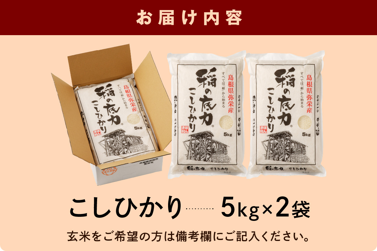 【令和6年産】】浜田産「稲の底力こしひかり」10kg お取り寄せ 特産 お米 精米 白米 ごはん ご飯 コメ 新米 新生活 応援 準備 10キロ 【120】