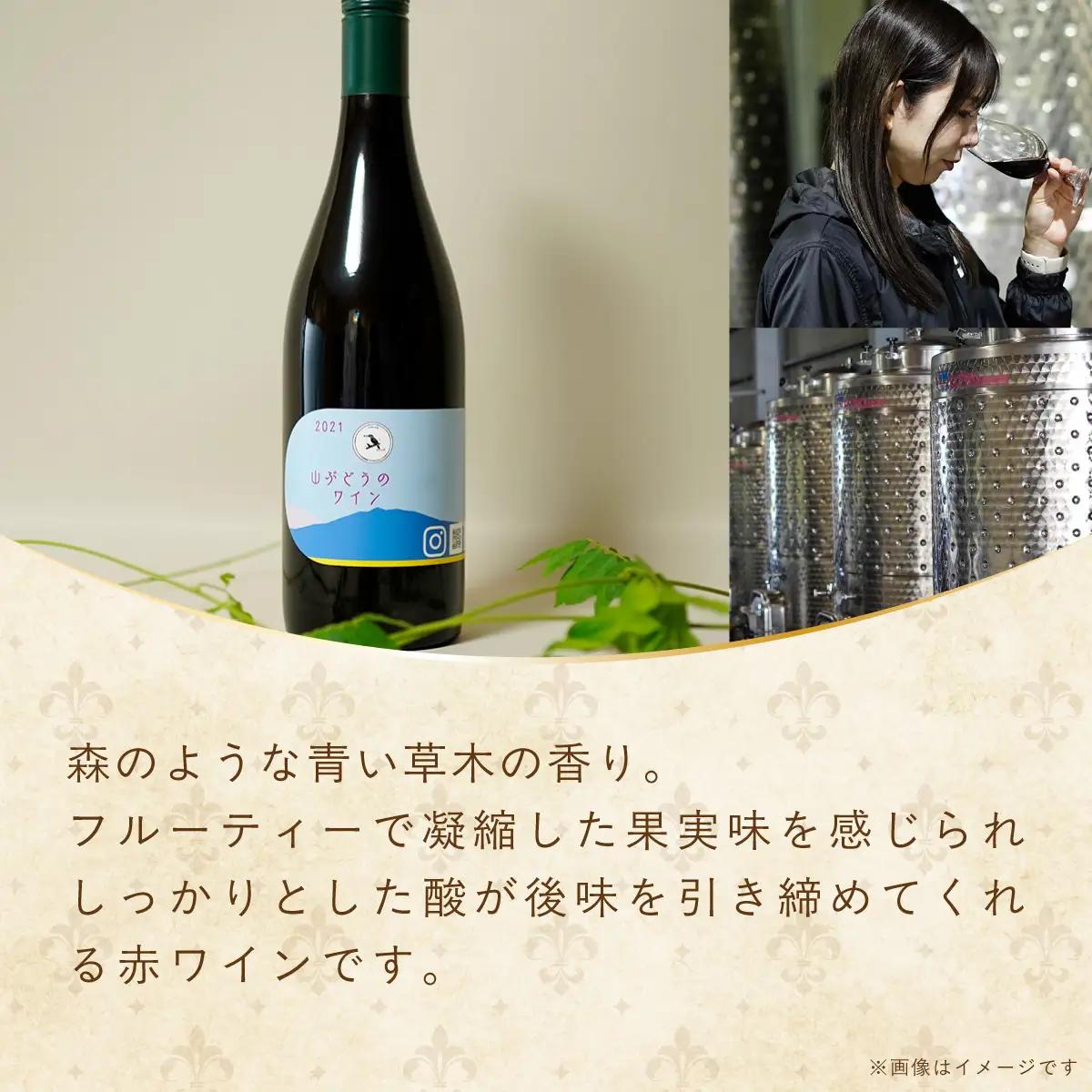 多古ワイン2021・山ぶどう【赤】【日本ワイン】750ml・1本_酒・アルコール 赤ワイン ワイン _【配送不可地域：離島・沖縄県】 TAKM003