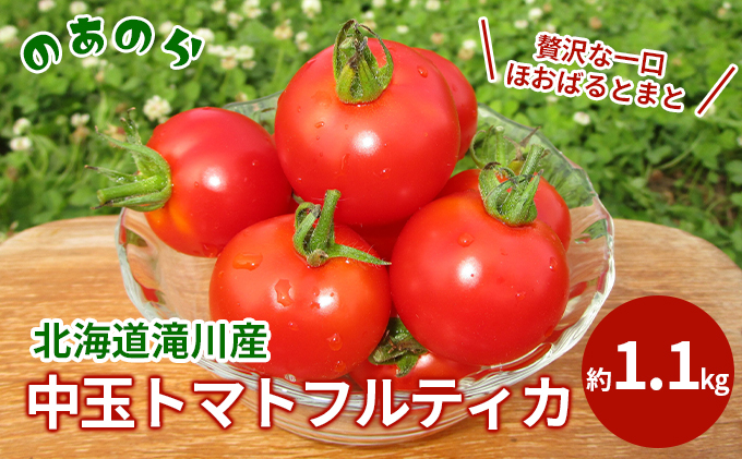 
【栽培期間中農薬不使用】贅沢な一口ほおばるとまと(北海道滝川市産中玉トマトフルティカ)約1.1kg
